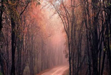 欧国联淘汰赛战况激烈，球迷精彩回顾