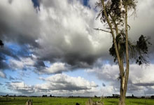 尤文图斯客场战胜切尔西，实现完美开局